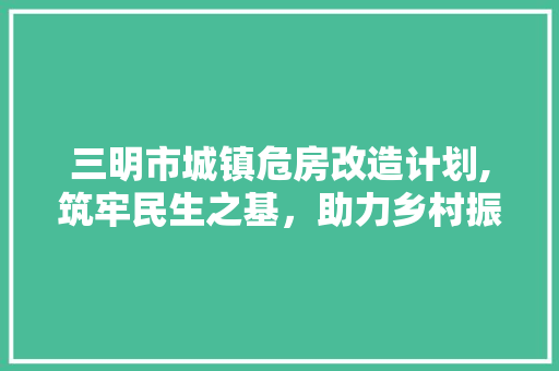 三明市城镇危房改造计划,筑牢民生之基，助力乡村振兴