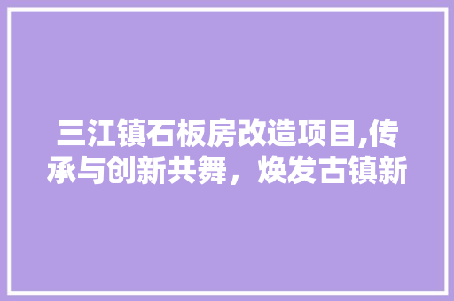 三江镇石板房改造项目,传承与创新共舞，焕发古镇新活力