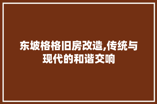 东坡格格旧房改造,传统与现代的和谐交响