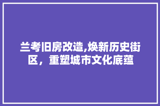 兰考旧房改造,焕新历史街区，重塑城市文化底蕴