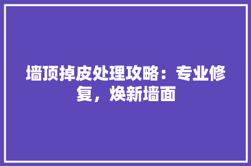 墙顶掉皮处理攻略：专业修复，焕新墙面 施工管理