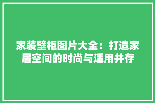 家装壁柜图片大全：打造家居空间的时尚与适用并存