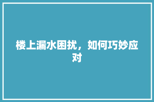 楼上漏水困扰，如何巧妙应对