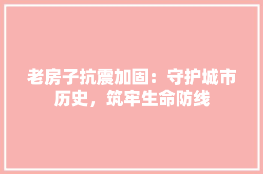 老房子抗震加固：守护城市历史，筑牢生命防线