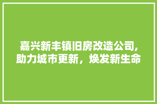 嘉兴新丰镇旧房改造公司,助力城市更新，焕发新生命力