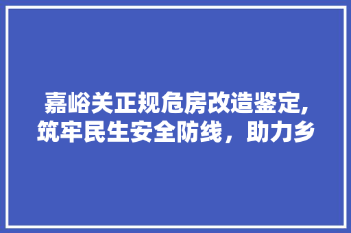 嘉峪关正规危房改造鉴定,筑牢民生安全防线，助力乡村振兴
