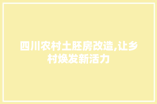 四川农村土胚房改造,让乡村焕发新活力