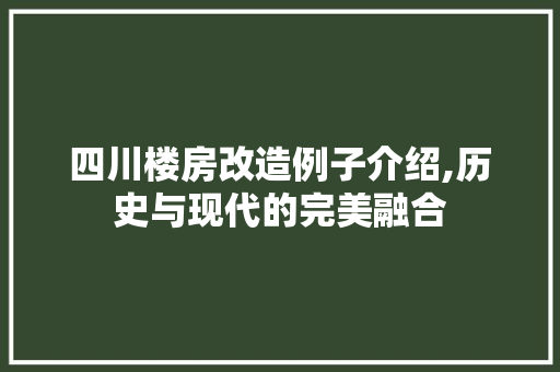 四川楼房改造例子介绍,历史与现代的完美融合