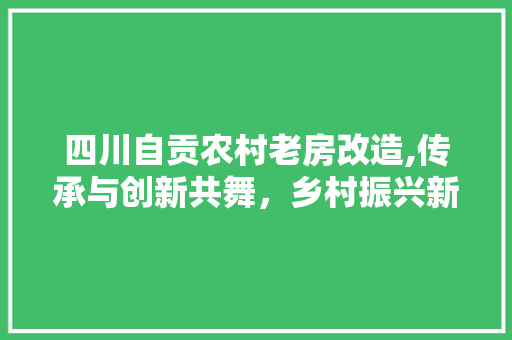 四川自贡农村老房改造,传承与创新共舞，乡村振兴新篇章