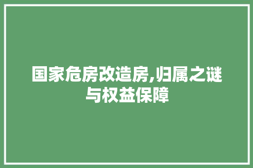 国家危房改造房,归属之谜与权益保障