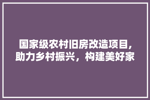 国家级农村旧房改造项目,助力乡村振兴，构建美好家园