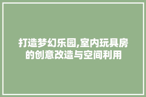 打造梦幻乐园,室内玩具房的创意改造与空间利用