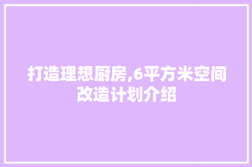 打造理想厨房,6平方米空间改造计划介绍