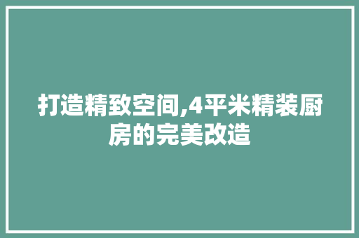 打造精致空间,4平米精装厨房的完美改造