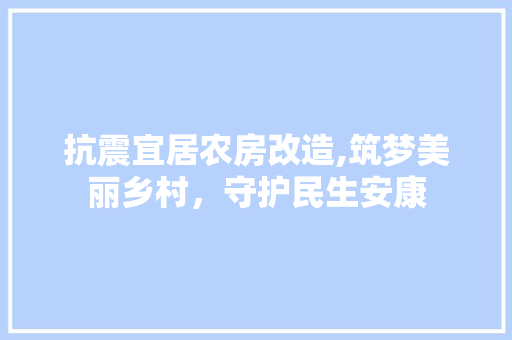 抗震宜居农房改造,筑梦美丽乡村，守护民生安康