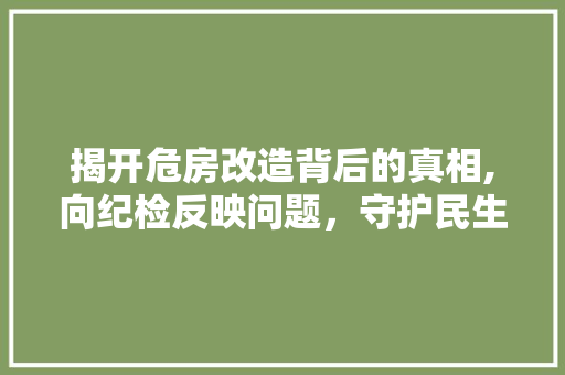 揭开危房改造背后的真相,向纪检反映问题，守护民生底线