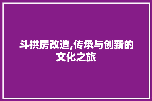 斗拱房改造,传承与创新的文化之旅