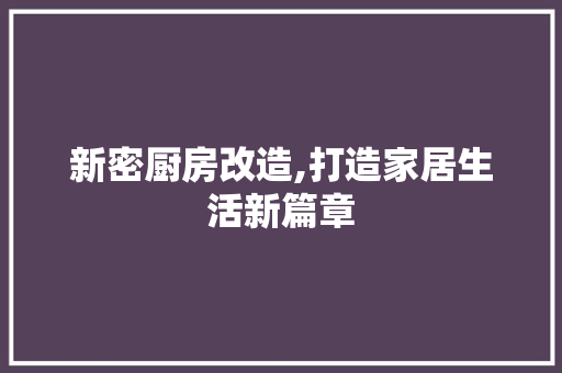 新密厨房改造,打造家居生活新篇章