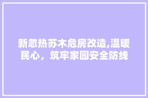新忽热苏木危房改造,温暖民心，筑牢家园安全防线