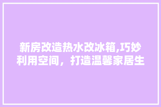 新房改造热水改冰箱,巧妙利用空间，打造温馨家居生活