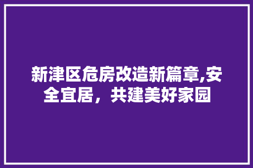 新津区危房改造新篇章,安全宜居，共建美好家园