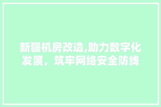 新疆机房改造,助力数字化发展，筑牢网络安全防线