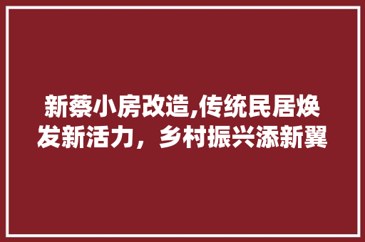 新蔡小房改造,传统民居焕发新活力，乡村振兴添新翼