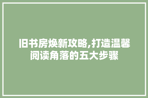 旧书房焕新攻略,打造温馨阅读角落的五大步骤