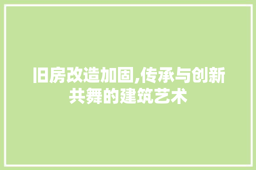 旧房改造加固,传承与创新共舞的建筑艺术