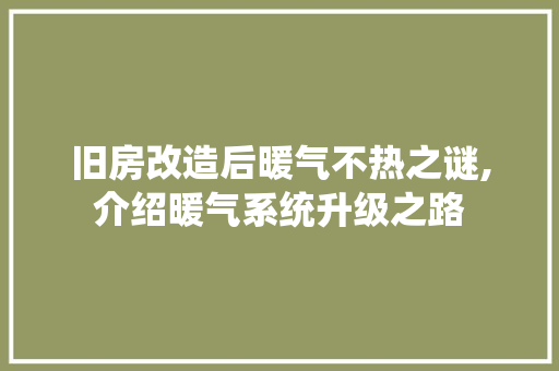 旧房改造后暖气不热之谜,介绍暖气系统升级之路