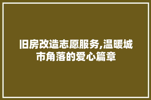 旧房改造志愿服务,温暖城市角落的爱心篇章