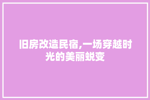旧房改造民宿,一场穿越时光的美丽蜕变