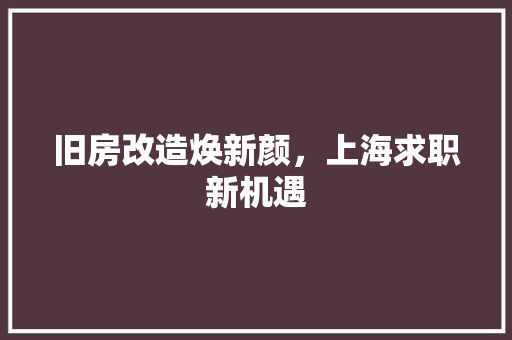 旧房改造焕新颜，上海求职新机遇