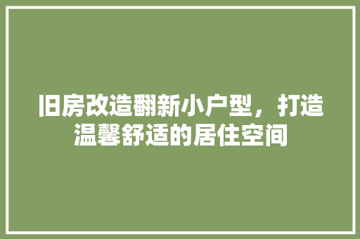 旧房改造翻新小户型，打造温馨舒适的居住空间