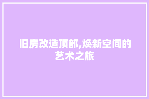 旧房改造顶部,焕新空间的艺术之旅