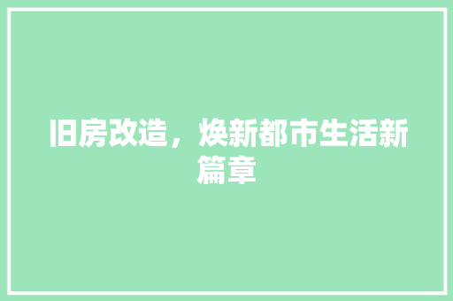 旧房改造，焕新都市生活新篇章