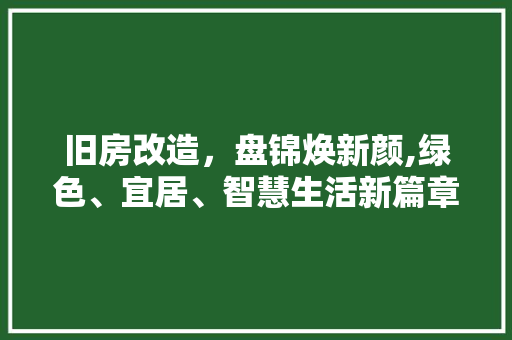 旧房改造，盘锦焕新颜,绿色、宜居、智慧生活新篇章