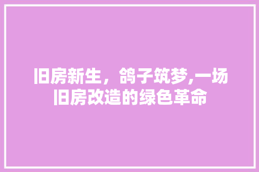 旧房新生，鸽子筑梦,一场旧房改造的绿色革命