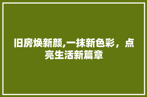 旧房焕新颜,一抹新色彩，点亮生活新篇章