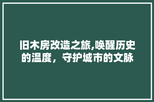 旧木房改造之旅,唤醒历史的温度，守护城市的文脉 设计原则