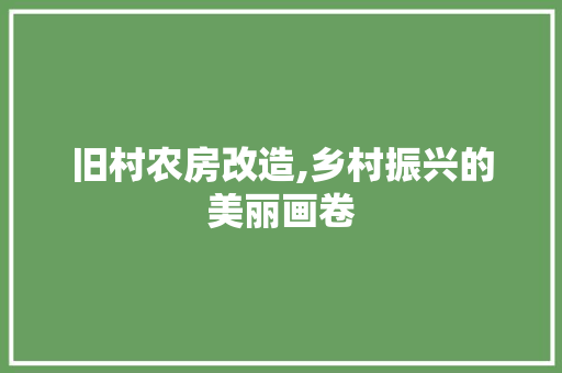 旧村农房改造,乡村振兴的美丽画卷