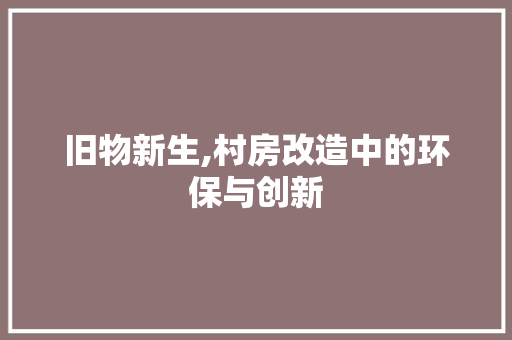 旧物新生,村房改造中的环保与创新