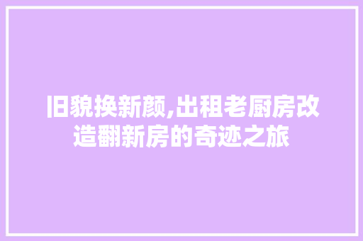 旧貌换新颜,出租老厨房改造翻新房的奇迹之旅