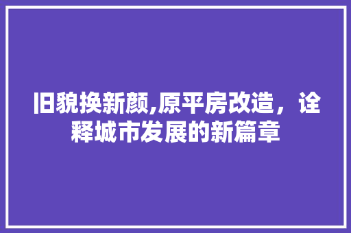 旧貌换新颜,原平房改造，诠释城市发展的新篇章