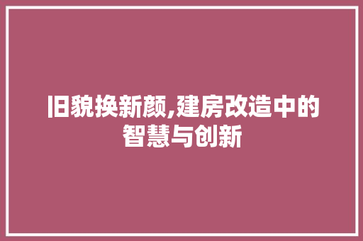 旧貌换新颜,建房改造中的智慧与创新