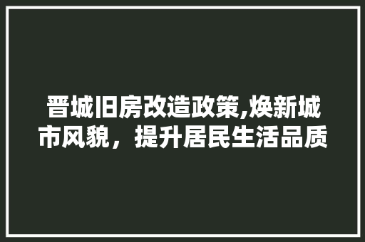 晋城旧房改造政策,焕新城市风貌，提升居民生活品质