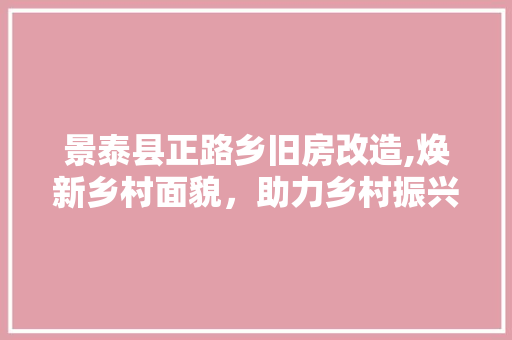 景泰县正路乡旧房改造,焕新乡村面貌，助力乡村振兴