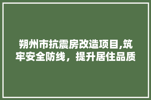 朔州市抗震房改造项目,筑牢安全防线，提升居住品质