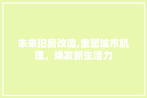 未来旧房改造,重塑城市肌理，焕发新生活力