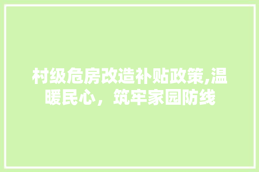 村级危房改造补贴政策,温暖民心，筑牢家园防线